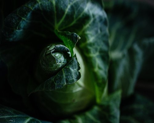 Fresh vegetables in a reusable grocery bag